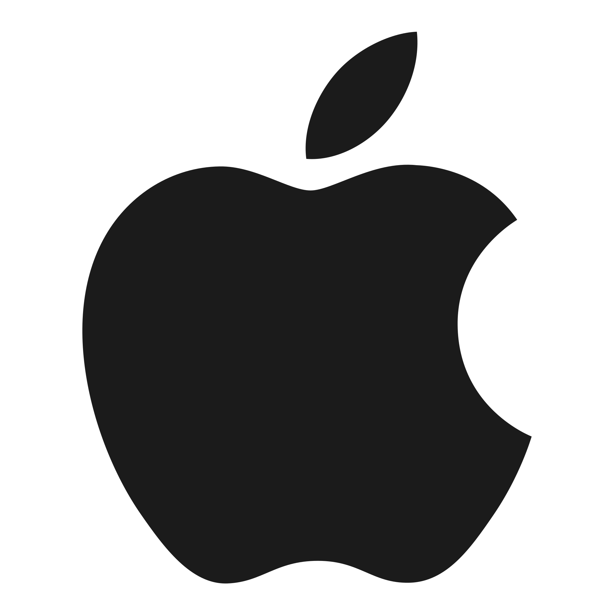 294700 apple icon